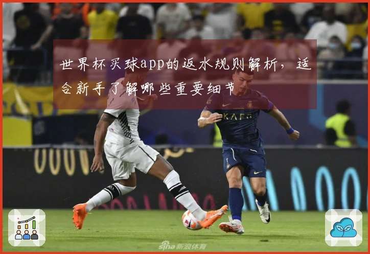 世界杯买球app的返水规则解析，适合新手了解哪些重要细节