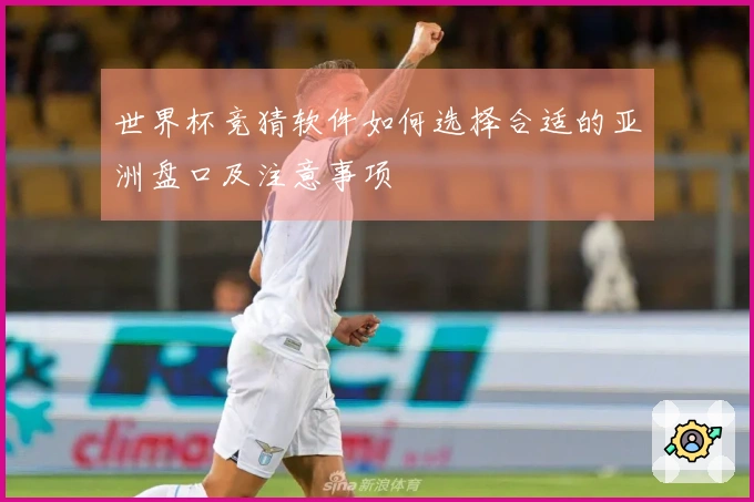 世界杯竞猜软件如何选择合适的亚洲盘口及注意事项