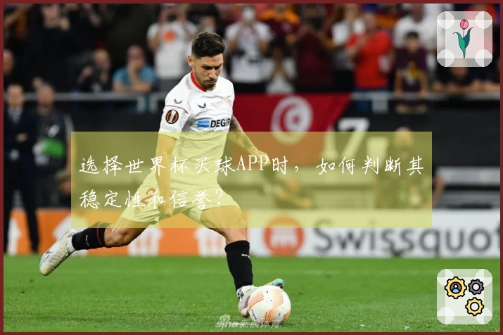 选择世界杯买球APP时，如何判断其稳定性和信誉？