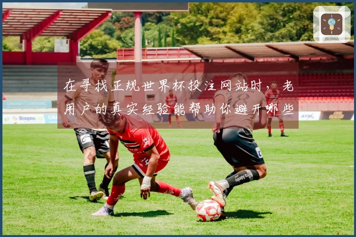 在寻找正规世界杯投注网站时，老用户的真实经验能帮助你避开哪些常见坑？