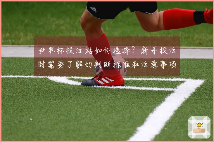 世界杯投注站如何选择？新手投注时需要了解的判断标准和注意事项