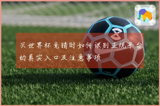 买世界杯竞猜时如何识别正规平台的真实入口及注意事项