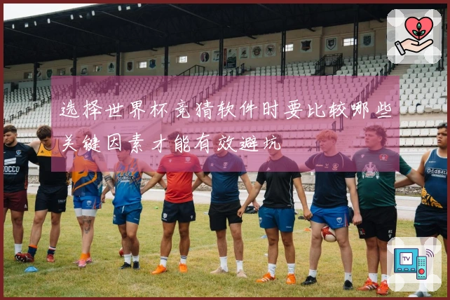 选择世界杯竞猜软件时要比较哪些关键因素才能有效避坑