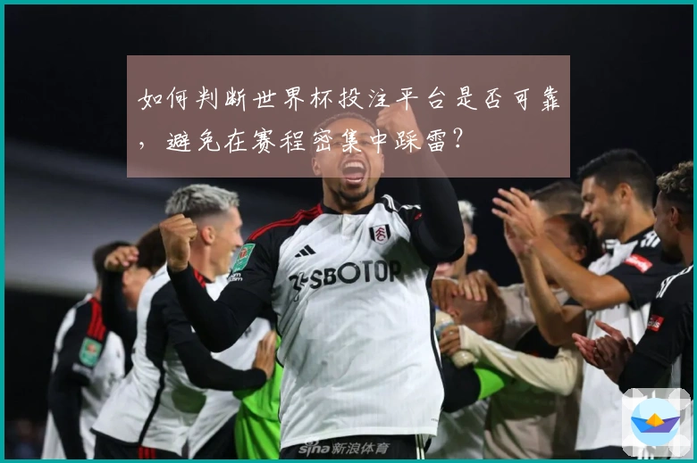 如何判断世界杯投注平台是否可靠，避免在赛程密集中踩雷？