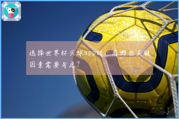 选择世界杯买球app时，有哪些关键因素需要考虑？