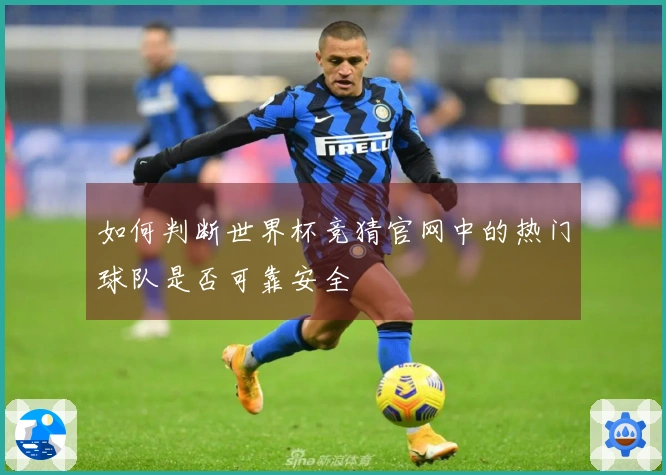 如何判断世界杯竞猜官网中的热门球队是否可靠安全