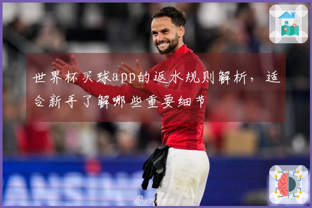 世界杯买球app的返水规则解析，适合新手了解哪些重要细节