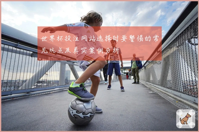 世界杯投注网站选择时要警惕的常见坑点及真实案例分析