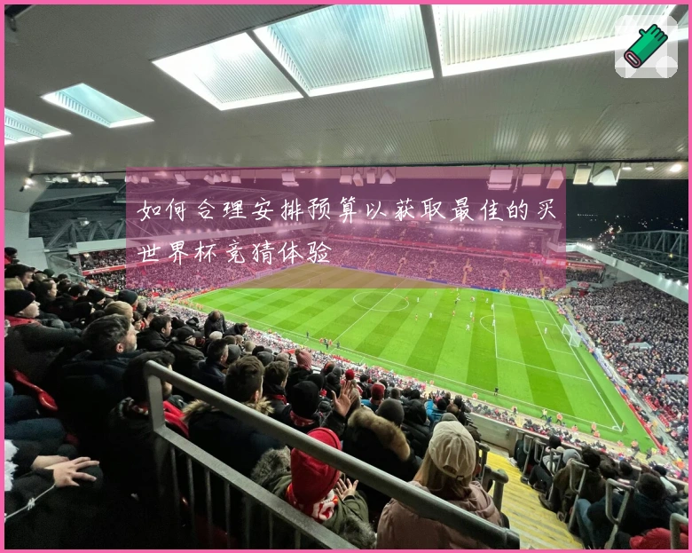 如何合理安排预算以获取最佳的买世界杯竞猜体验