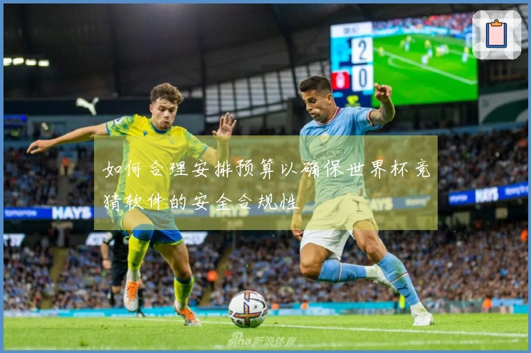 如何合理安排预算以确保世界杯竞猜软件的安全合规性