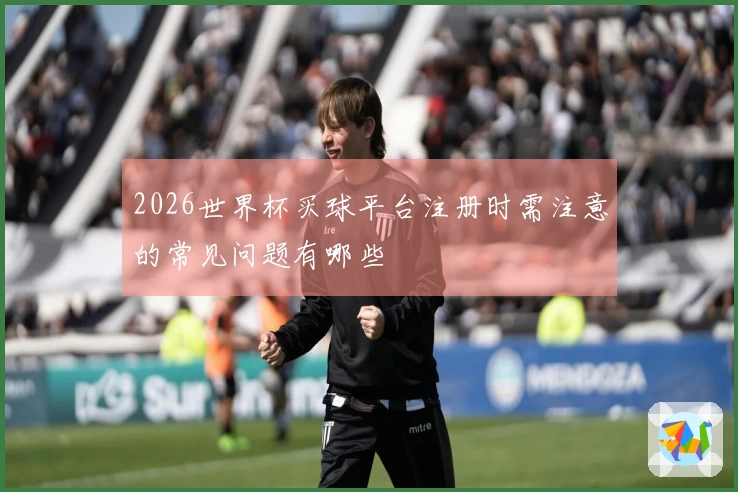 2026世界杯买球平台注册时需注意的常见问题有哪些