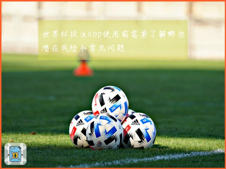 世界杯投注app使用前需要了解哪些潜在风险和常见问题