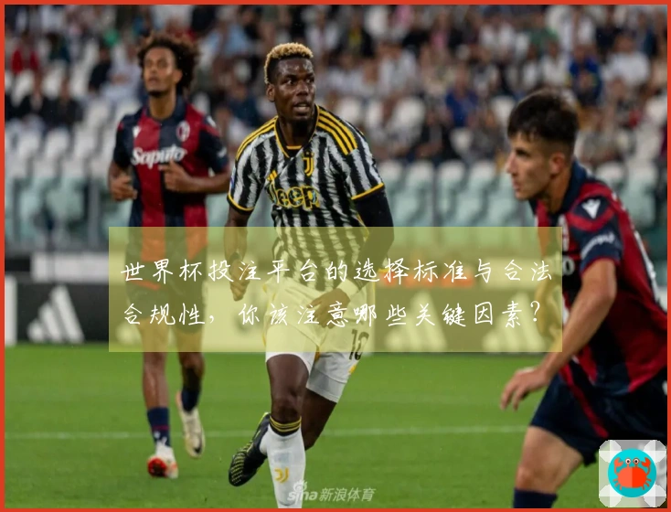 世界杯投注平台的选择标准与合法合规性，你该注意哪些关键因素？