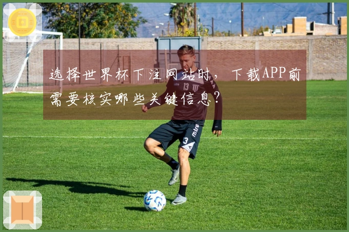 选择世界杯下注网站时，下载APP前需要核实哪些关键信息？