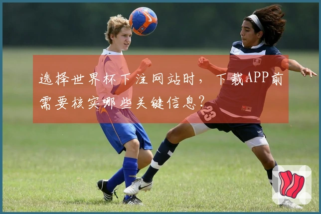 选择世界杯下注网站时,下载APP前需要核实哪些关键信息?