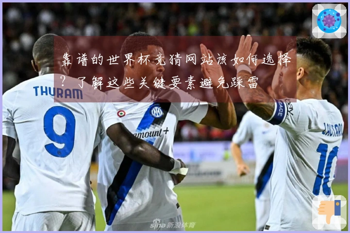 靠谱的世界杯竞猜网站该如何选择？了解这些关键要素避免踩雷