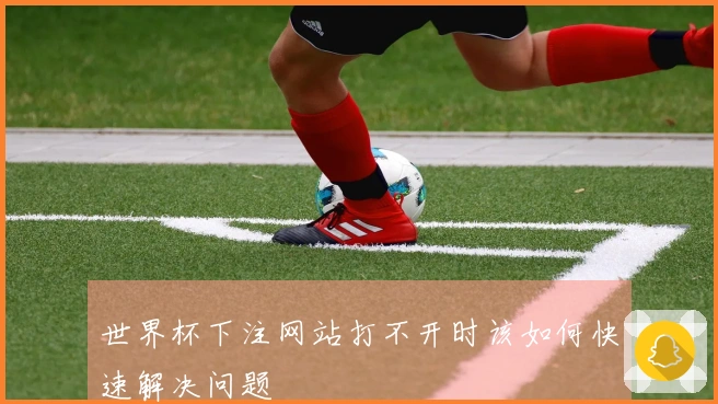 世界杯下注网站打不开时该如何快速解决问题