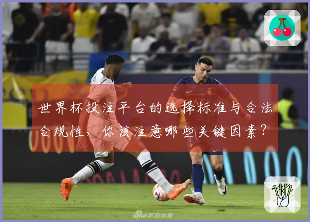世界杯投注平台的选择标准与合法合规性，你该注意哪些关键因素？