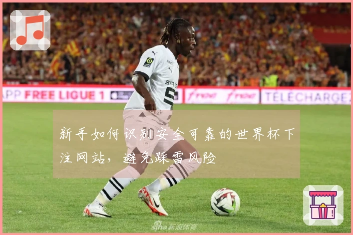 新手如何识别安全可靠的世界杯下注网站，避免踩雷风险