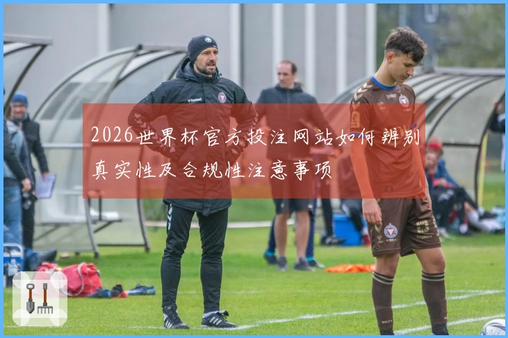 2026世界杯官方投注网站如何辨别真实性及合规性注意事项
