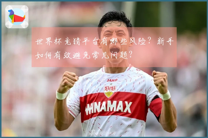 世界杯竞猜平台有哪些风险？新手如何有效避免常见问题？