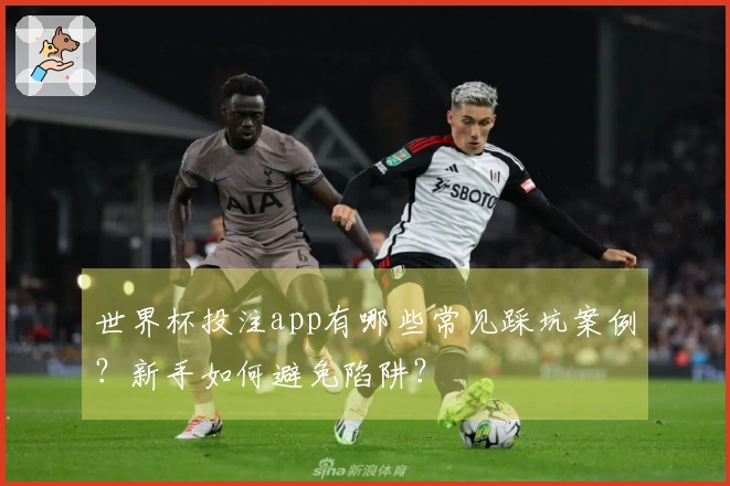 世界杯投注app有哪些常见踩坑案例？新手如何避免陷阱？