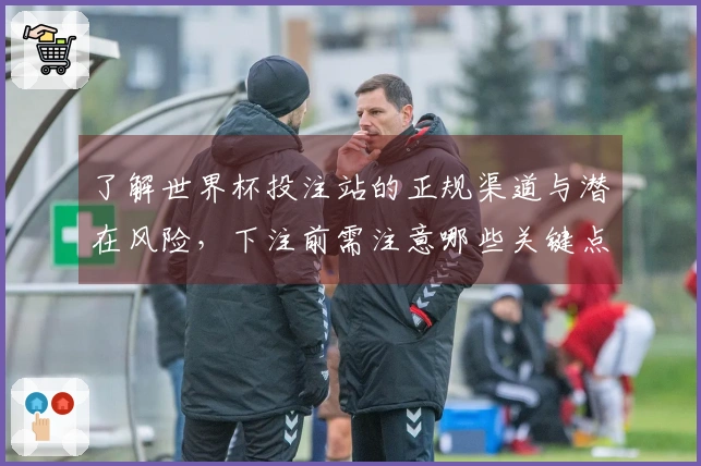 了解世界杯投注站的正规渠道与潜在风险，下注前需注意哪些关键点
