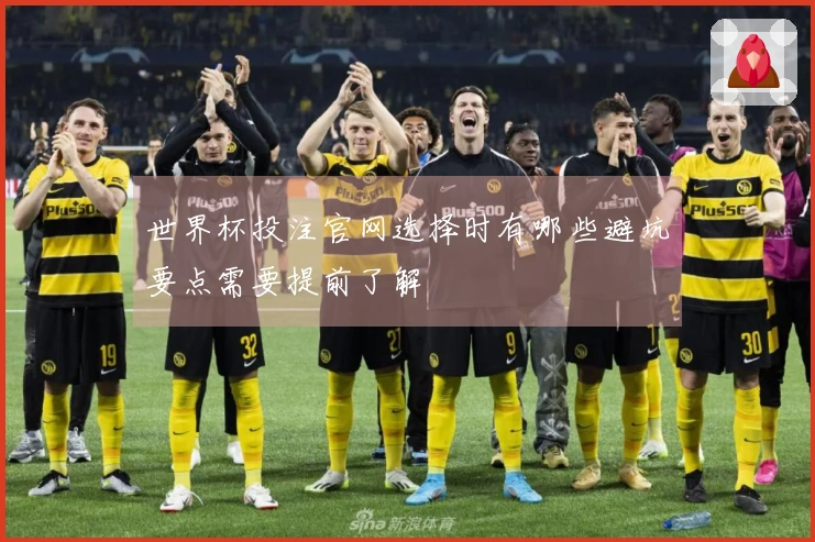 世界杯投注官网选择时有哪些避坑要点需要提前了解