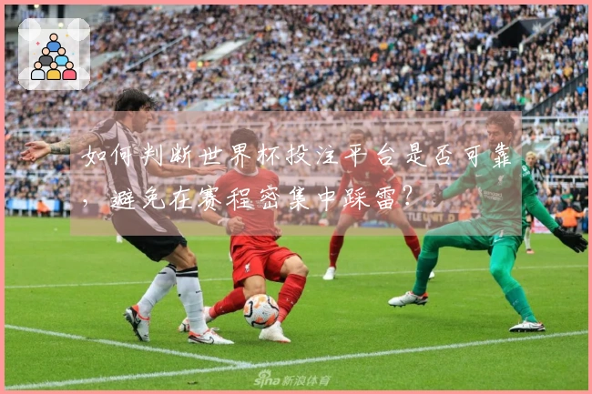 如何判断世界杯投注平台是否可靠，避免在赛程密集中踩雷？