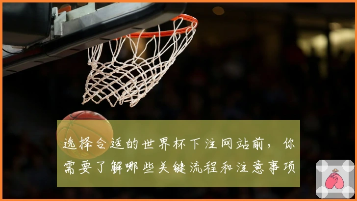 选择合适的世界杯下注网站前，你需要了解哪些关键流程和注意事项？