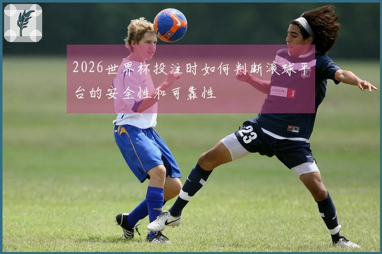2026世界杯投注时如何判断滚球平台的安全性和可靠性