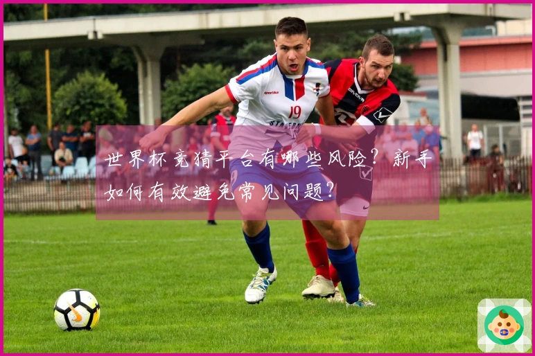 世界杯竞猜平台有哪些风险？新手如何有效避免常见问题？
