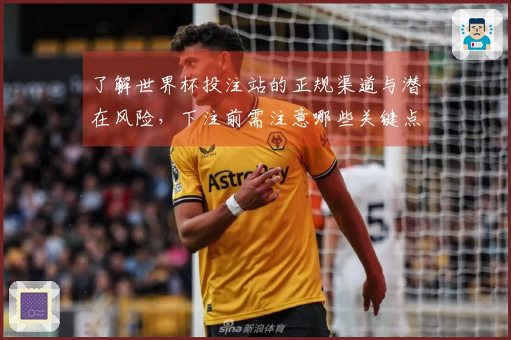 了解世界杯投注站的正规渠道与潜在风险，下注前需注意哪些关键点