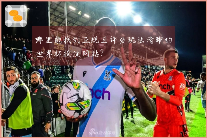 哪里能找到正规且评分玩法清晰的世界杯投注网站？