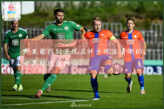 哪里能找到正规且评分玩法清晰的世界杯投注网站？